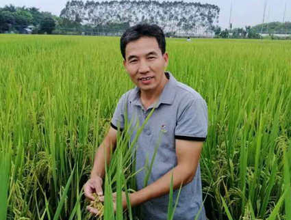 成太辉  市人大代表、番禺区农业科学研究所高级农艺师
